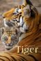 Nonton Film Tiger (2024) Nonton Film Tiger (2024)